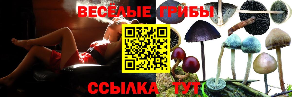 Галлюциногенные грибы Magic Shrooms Алатырь