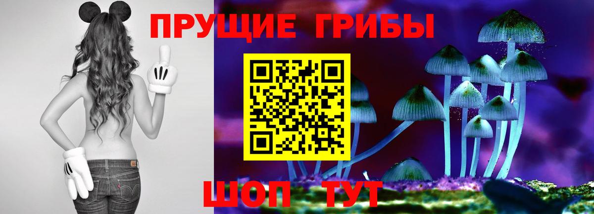 Алатырь  Галлюциногенные грибы GOLDEN TEACHER  Вход с VPN 